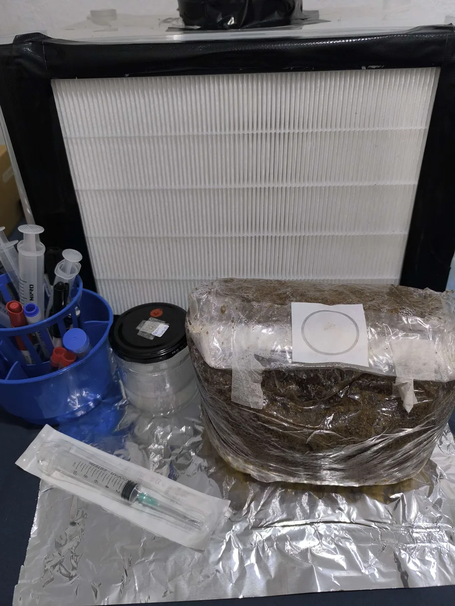 Caja de flujo laminar con bolsas de grano y jeringas en el taller